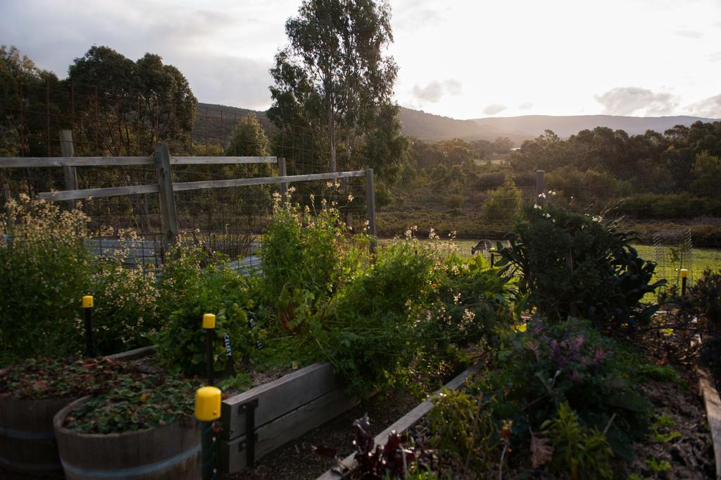Boroka Downs Villa Halls Gap Eksteriør bilde