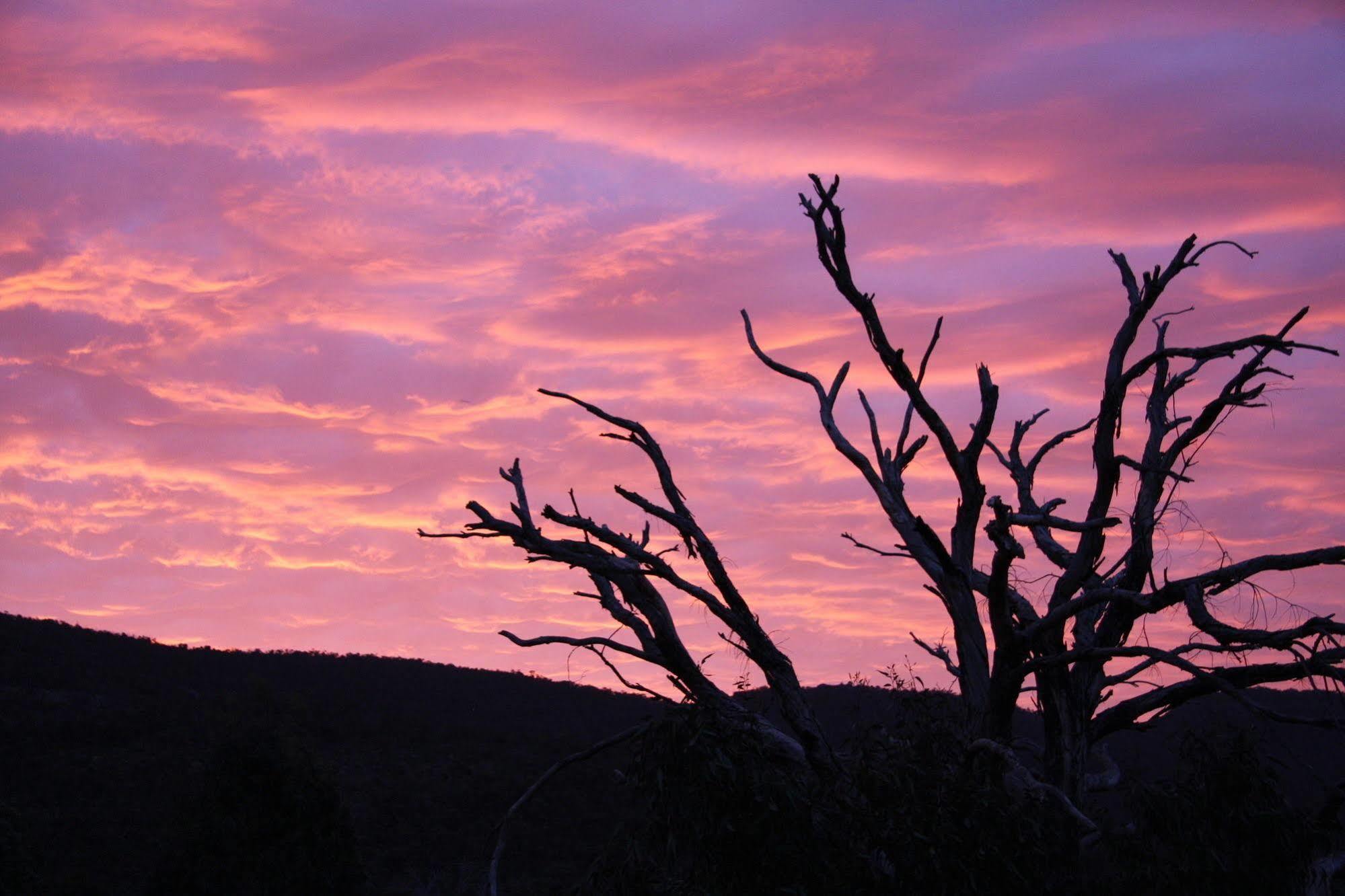 Boroka Downs Villa Halls Gap Eksteriør bilde