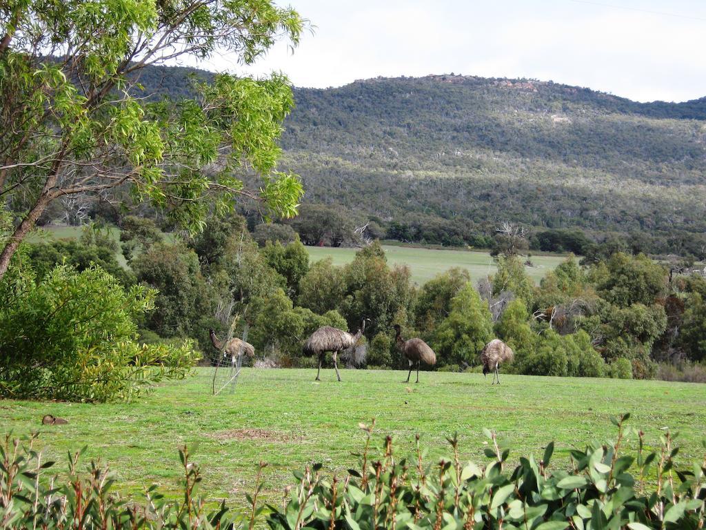 Boroka Downs Villa Halls Gap Eksteriør bilde