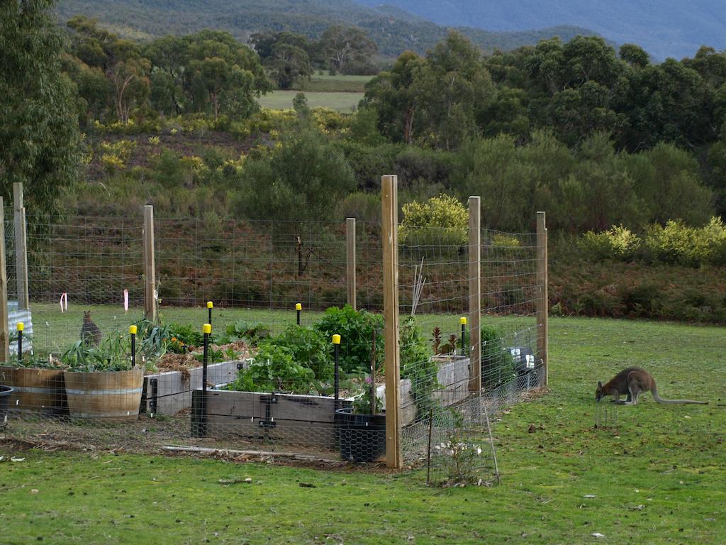 Boroka Downs Villa Halls Gap Eksteriør bilde